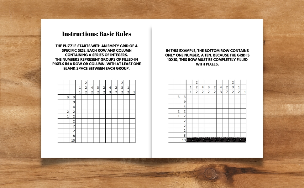 nonogram puzzle book instructions