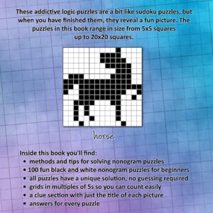 100 Nonogram Puzzles for Beginners